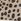 Leopard Blowfish Malibu Regular Fit Boardwalk Slip On Trainers