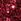 Red - Live Unlimited Curve Sequin Flutter Sleeve Top