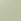 Green Haze Fatface Sunglasses Case