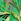 Verde cu imprimeu tropical - Rochie mini din jerseu Love & Roses cu decolteu tip halter