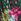 Green Animal Tropical Belted - Rochie midi din jerseu Love & Roses