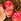 Rose And Germini Fresh Flower Bouquet In Gift Bag