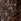 Leopard Printti; kuvio - Hareem Housut