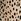 Brown Leopard Print Evie Midi Dress