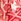 Red Shell Love & Roses Print Tie Front Camisole