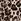 Charcoal Leopard Baby Cord Pinafore Long Sleeve Bodysuit & Tights Set (0mths-2yrs)