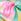 Galben floral - Slipi bikini Lipsy cu fundă laterală