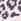 Animal Linzi Twyla Platform Trainers