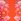 Pink and Orange Floral Print - Love & Roses Crew Neck Scallop Jersey T-shirt