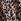 Leopard Print Long Sleeve Collared Dress (3mths-7yrs)