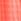 Fluro Pink 100% Cotton Gingham Lightweight Dressing Gown