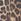 Animal - Simply Be – Midikleid mit Print, Schleife vorn und Taschen
