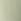 Green Sage Regular Fit Essential Crew Neck Cotton T-shirt