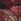Musta ja Punainen - Ann Summers Hold Me Trikoot Lace Body