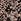 Neutral Lipsy Animal Printed Long Sleeve Jersey Shirt Dress