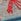 Grey Sealife Regular Fatface Men's Socks