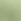 Green Roxy Along The Beach High Waist Trousers