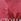Petal Buzz Victoria's Secret Body Lotion 236ml