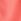 Coral Pink Basic Shorts (3-16yrs)