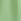 Green Basic Shorts (3-16yrs)