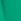Bottle Green Basic Shorts (3-16yrs)
