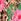 Leopard Floral Lipsy Printed Cover-up Playsuit