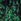 Green Jolie Moi Dalia Symmetrical Print Lace Maxi Dress