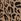 Natural Jolie Moi Nora Print Viscose Maxi Shirt Dress