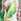 Multi Bright - Kew Collection Leveä lahje 100% Cotton Housut