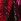 Pink and Black Tropical Print - Love & Roses Halter Neck Maxi Dress