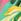 Green Tropical Print Love & Roses Bardot Jersey Playsuit