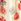 Ecru/Cream & Red Floral Volume Sleeve Tie Mini Dress