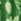 Green Feather Print 100% Cotton Tiered Maxi Skirt