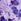 Purple Girl In Mind Heidi Ruched Midi Dress