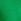 Verde - Love & Roses Halter Neck Tie Waist Midi Dress