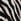 Monochrome Zebra Print Linen Scoop Back Mini Shift Dress