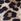 Animal Linzi Thea Closed Back Stiletto Court Heels With Ankle Strap