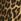 Leopard Print Straight Leg 100% Cotton Jeans