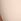 Nude Marzipan Victoria's Secret Pink Soft Stretch Unlined Scoop Bra