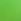 Green Pour Moi Samoa Bikini Top