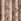 Joules Festival Pheasants Blackout Eyelet Curtains