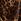 Brown Leopard Print Long Sleeve Tie Neck Mini Dress