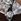 Jasen srebrn ton - Cerene Crystal Cluster Drop Earrings