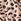 Animal Print Square Neck Midi Dress