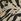 Neutral Animal Print Chiffon Tie Waist Mini Dress