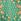 Green Scarf Print Midi Length Long Sleeve Belted Shirt Dress