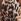 Brown Print Reiss Livia Printed Jersey Dress
