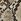 White Snack Print Katie Loxton Avery Leopard Small Cross-body Bag