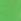 Bright Green Swim Shorts (1.5-16yrs)