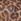 Gelb - Gossard Glossies Durchsichtiger Leoparden-BH